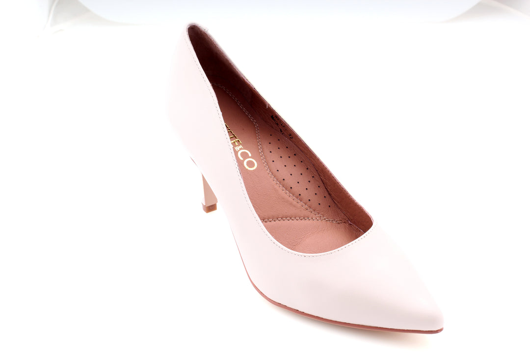 Lynette&amp;Co Wesley S