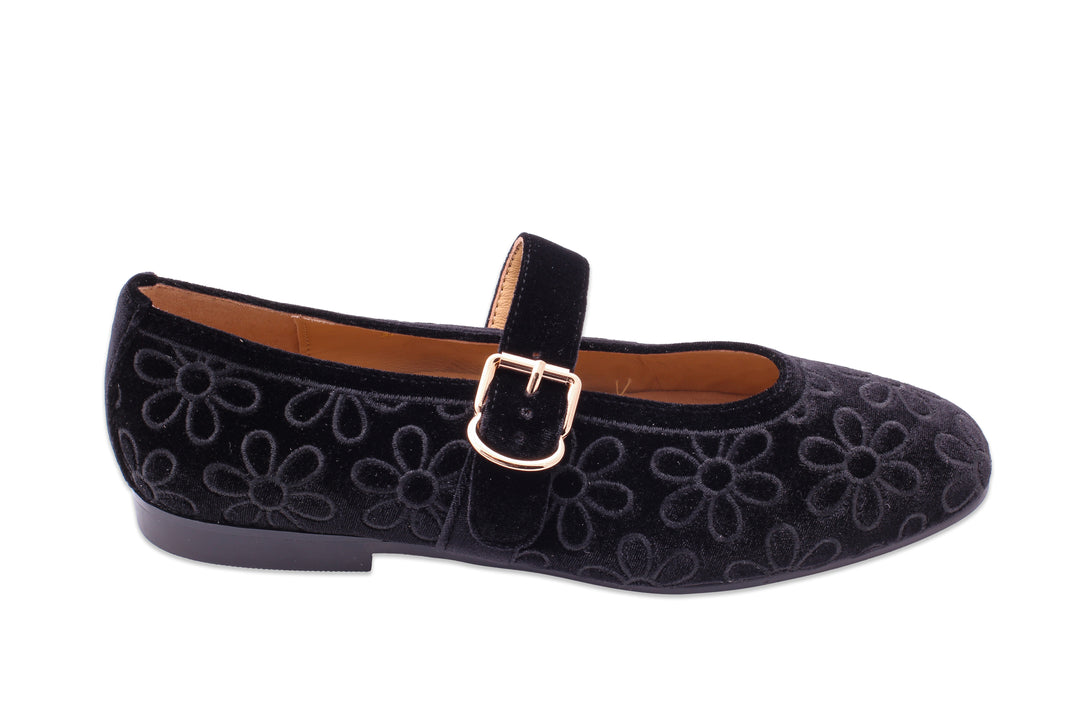 Allora Daisy