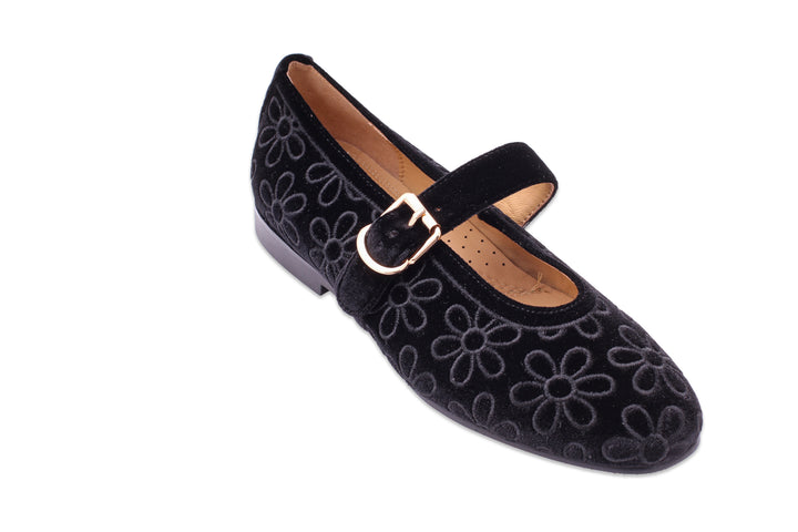 Allora Daisy