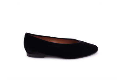Lodi Braidy 1457-V